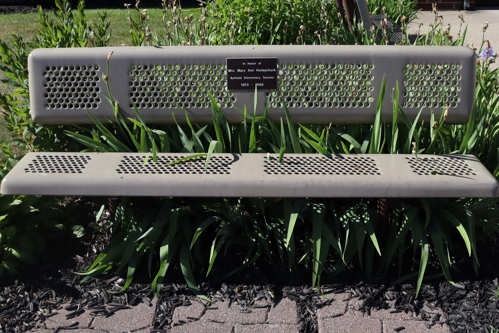 Bench in flowerbed